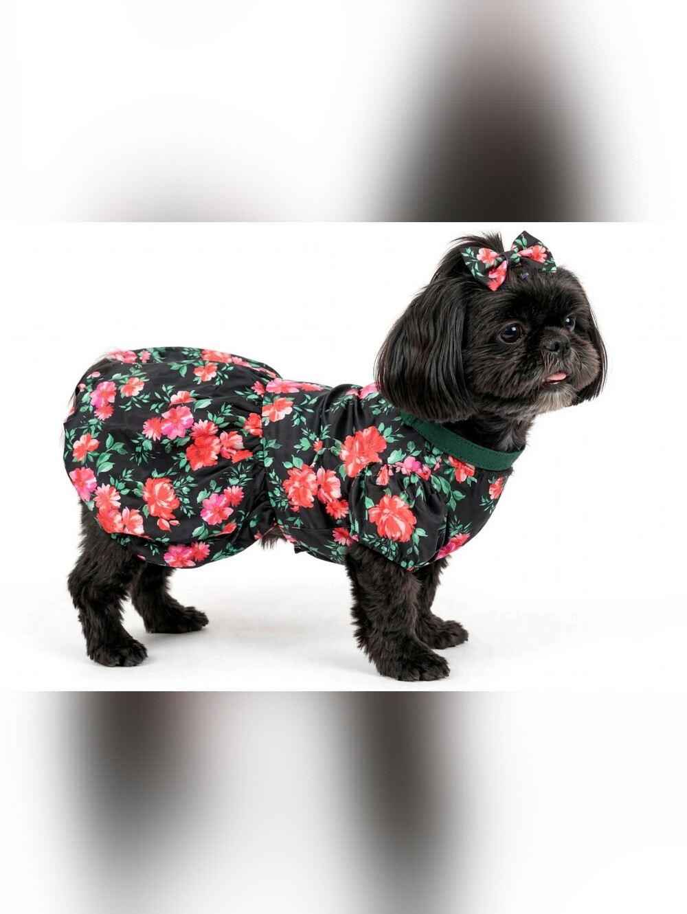 Floral Print Dog Dress - Black, Bright Red & Green -Small